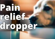 Natural Pain Relief For Dogs: The Benefits Of Organic Cbd Oil