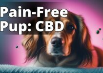 Pain-Free Pooches: The Best Cbd Oils For Dogs With Pain