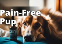 The Best Cbd Oil For Dogs With Pain: A Complete Guide To Finding A Reliable Option