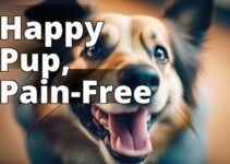 Cbd Oil For Dogs: A Natural Solution For Effective Pain Relief