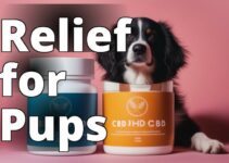 Cbd For Dogs With Pain: The Ultimate Guide To Finding High-Quality Products