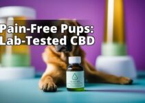 Pain Relief For Dogs: The Importance Of Lab-Tested Cbd Products