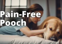 The Ultimate Guide To Natural Pain Relief For Dogs: Organic Cbd