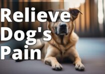 Safe Cbd For Dogs With Pain: The Ultimate Guide To Arthritis Treatment