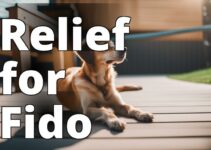 Trusted Cbd For Dogs With Pain: The Ultimate Guide To Safe And Effective Pain Management
