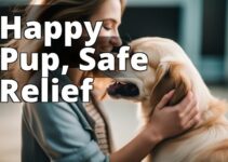 A Comprehensive Guide To Safe Pain Relief With Cbd Oil For Dogs