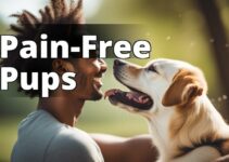 The Top 10 Cbd Oils For Dogs With Pain: A Must-Read Guide