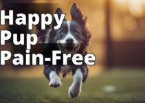 High-Quality Cbd For Dogs: The Ultimate Guide To Pain Relief