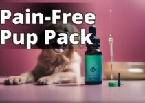 Everything You Need To Know About Vet-Approved Cbd Oil For Dogs With Pain