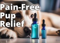 The Ultimate Guide To Lab-Tested Cbd Oil For Dogs With Pain