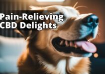 Premium Cbd For Dogs With Pain: The Ultimate Guide For Pet Owners