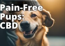 How To Effectively Use Cbd For Dogs With Pain: A Complete Guide