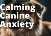 Calming Techniques For Dogs: Natural Ways To Reduce Anxiety