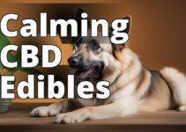 Relieve Anxiety: The Ultimate Cbd Edibles For Dogs Guide