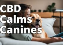 The Definitive Guide To Buying Cbd For Dog Anxiety Today