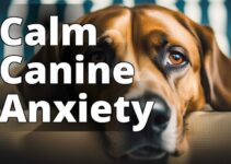 Uncovering The Best Hemp Oil For Dogs Anxiety: A Comprehensive Review