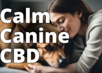 The Ultimate Guide To The Most Effective Cbd For Anxious Dogs