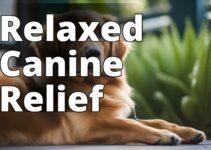 The Ultimate Guide To The Best Cbd Oil For Dogs Stress Relief