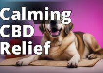 Best Cbd For Dogs Anxiety: Expert Tips For Calming Anxious Pets Naturally
