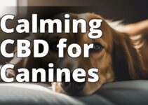 Vet-Recommended Cbd: The Ultimate Solution For Dog Anxiety