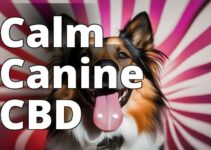 Discover The Best Cbd For Pets’ Anxiety