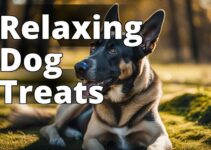 Top 10 Calming Treats For High Energy Dogs To Try Today