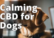 The Ultimate Guide: Cbd’S Role In Easing Dogs’ Separation Anxiety