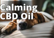 Top Cbd Oil For Dogs: Reviews And Anxiety Relief Tips