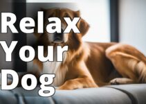 Calming Anxiety In Dogs: The Ultimate Guide