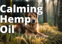 The Ultimate Guide: How Hemp Oil Aids Dogs With Separation Anxiety
