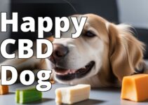 Revealed: The Best Cbd Dog Treats For Anxiety In 2023