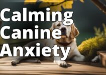 Ease Dog Anxiety Naturally With These Effective Methods