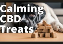 Best Cbd For Anxious Pets In 2023: Your Comprehensive Guide