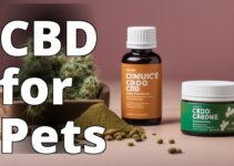Revealed: Petco’S Cbd For Pets Range And Quality Unveiled