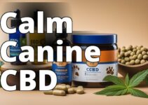 The Ultimate Guide To Petsmart Cbd For Dogs With Anxiety: Real User Reviews