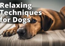 The Ultimate Guide To Calming Anxiety In Dogs Effectively