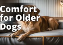 Calm Anxiety In Older Dogs With These Effective Techniques And Treatments