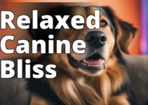 A Pet Parent’S Guide To Using Hemp Oil For Dog Anxiety