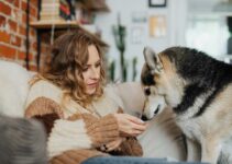 Cbd Relief For Pet Allergies Facts  Tips